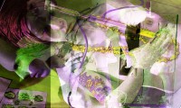 /album/galleria-fotografica/a89it-jpg/