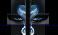 /album/galleria-fotografica/aaa-jpg/