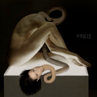 /album/galleria-fotografica/gbf2-jpg/