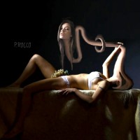 /album/galleria-fotografica/mn-m23-jpg/