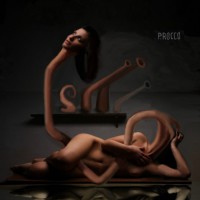 /album/galleria-fotografica/rebi-jpg/