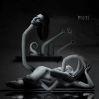 /album/galleria-fotografica/rebi1-jpg/