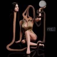 /album/galleria-fotografica/rm-jpg/